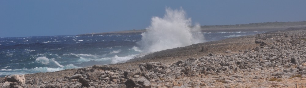 cropped-2011-Curacao.jpg