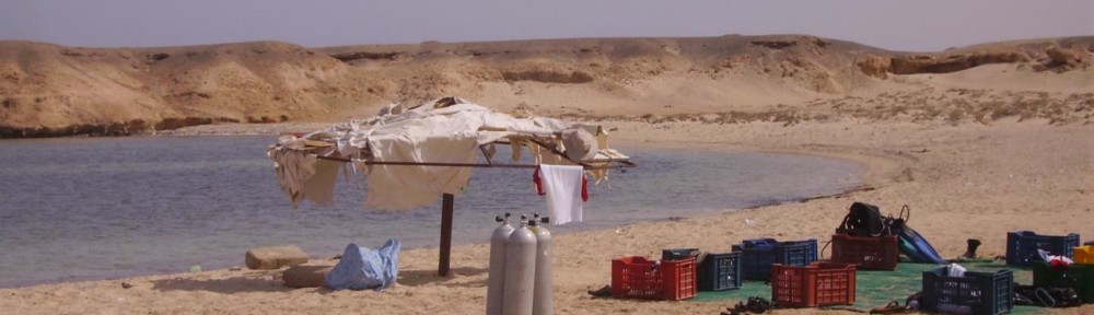 cropped-Egypt-Shore-Dive-Marsa-Assalaya.jpg