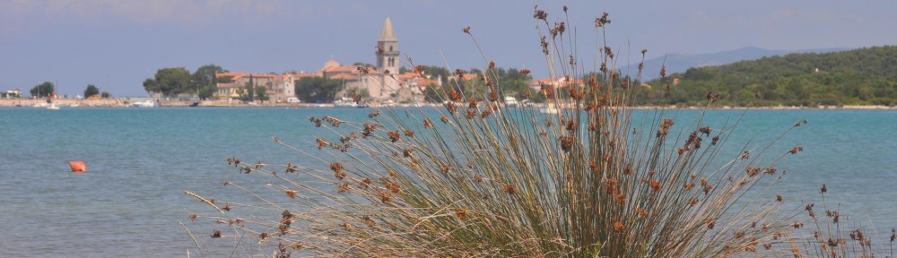 cropped-KroatieOsor.jpg