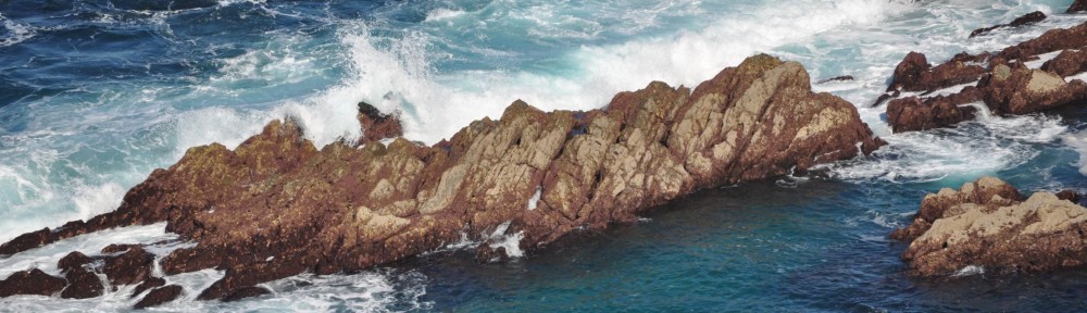 cropped-Rocks-at-Plentzia-coastline.jpg