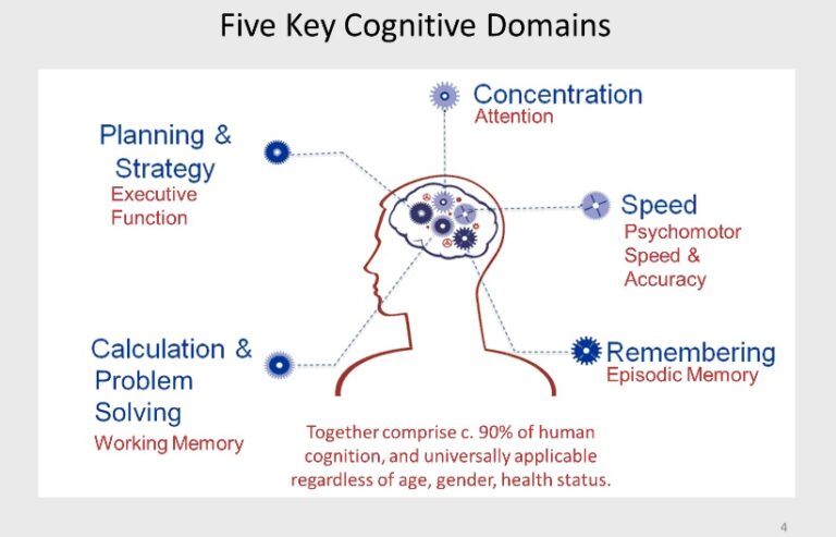 Cognitive Distortions: Why You'Re Blaming The Wrong Source - nm15351