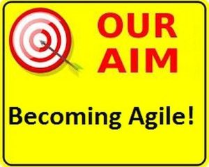 Read more about the article Why do you want to become agile?