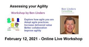 Read more about the article Workshop Assessing your Agility – Live Online