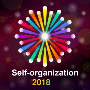 Read more about the article Agile in 2018: Self-organization