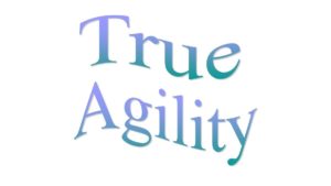 Read more about the article How true agility looks