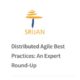 Read more about the article My contibution to Distributed Agile Best Practices