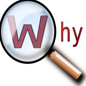 Read more about the article Retrospective Actions: Start with Why