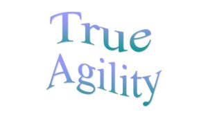Read more about the article Can you make us agile?